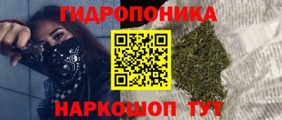 дживик Лесосибирск