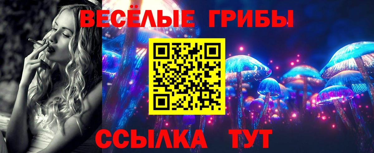 Гусев  Галлюциногенные грибы GOLDEN TEACHER  Вход с VPN 