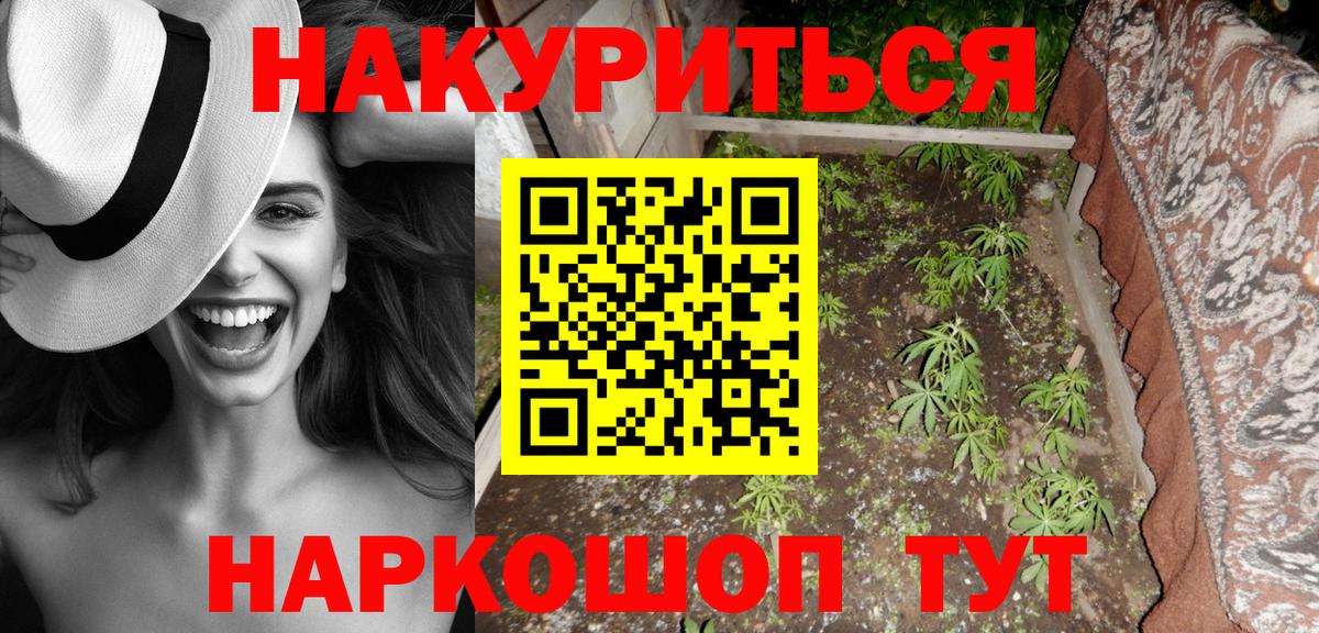 Конопля планчик  Вход с VPN  Шишки марихуана White Widow  Гусев  Канабис семена  Шишки марихуана VHQ 